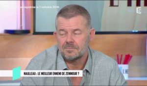 Naulleau : Le meilleur ennemi de Zemmour ? - C l'Hebdo - 08/10/2016