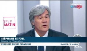 Stéphane Le Foll ironise sur la candidature des frondeurs ‘’Vous croyez que vous avez une chance de convaincre les Français ?’’