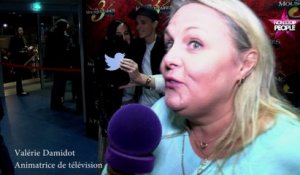 Les Trois Mousquetaires : Valérie Damidot, Alizée, Patrick Balkany déjà fans de la comédie musicale (EXCLU VIDEO)