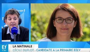 Cécile Duflot plaide "pour une France 100% renouvelable"