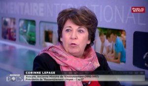 Boues Rouges : Pour Corinne Lepage, Ségolène Royal ne va pas assez loin