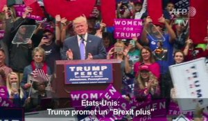 Donald Trump promet un 'Brexit plus' s’il gagne l’élection
