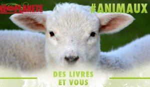 [Des livres et Vous] La cause animale, un nouvel enjeu politique qui va peser