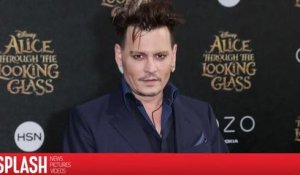 Johnny Depp décroche un rôle dans la suite des Animaux Fantastiques
