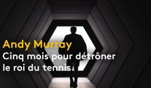 Comment, en cinq mois, Murray a détrôné le roi Djokovic