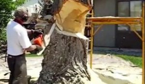 Ce que ce bûcheron fait de l'arbre qui se trouve devant chez lui est extraordinaire !
