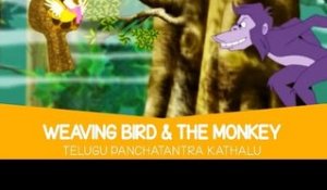 Weaving Bird & the Monkey - Telugu Kathalu | Stories For Kids In Telugu