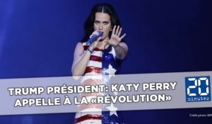 Donald Trump président: Katy Perry, Madonna... L'effarement des célébrités américaines