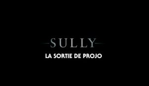 La Sortie de Projo : Sully