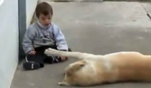 Ce chien rencontre ce jeune trisomique et c'est tellement émouvant