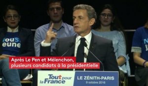 Macron, Sarkozy, Le Maire : les nouveaux candidats "anti-système"
