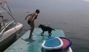 Ridicule mais tellement drole, le saut de ce chien dans l'eau