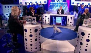 ONPC, France 2 : Le chien de Christophe Dechavanne s'invite au coeur de l'émission