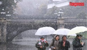 À Tokyo, il neige en novembre pour la première fois depuis 1962