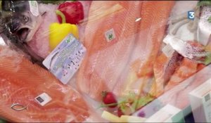Le saumon bio serait-il encore plus contaminé?