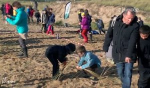 Opération : Végétalisation des dunes du littoral (Vendée)