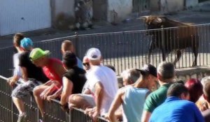 Un taureau défonce un 4×4 dans une rue en Espagne