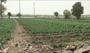 Mali, Densifier le tissu industriel