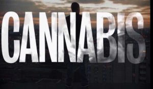 "Cannabis" sur Arte : good trip ou bad trip ?