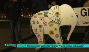 Nantes : rassemblement contre les "GPII"