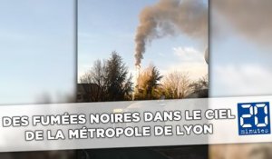 Rhône: En plein pic de pollution, la raffinerie de Feyzin continue de cracher sa fumée noire