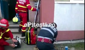 Un pompier sauve un chien en lui faisant du bouche-à-bouche, il enflamme la toile