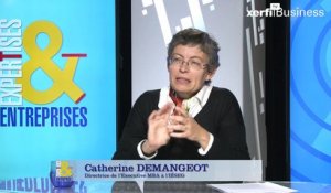 Catherine Demangeot, Développer des compétences interculturelles : un impératif