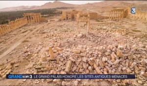 Visiter Palmyre, c'est possible au Grand Palais