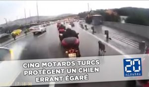Cinq motards turcs protègent un chien errant égaré