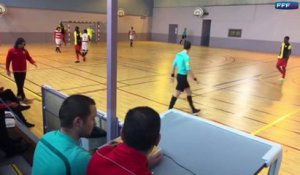 D1 Futsal, journée 15 : Le Grand résumé