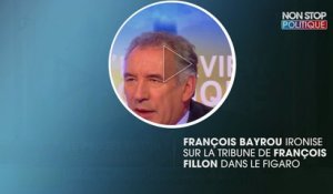 François Bayrou sur la tribune de François Fillon : "Si vous avez compris quelque-chose, je vous paie des caramels mous !"