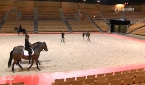 Équitation : Le Cadre noir de Saumur (Vendée)