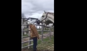 Comment surprendre un cheval