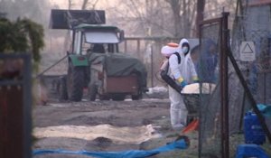 Nouveaux cas de grippe aviaire en Pologne