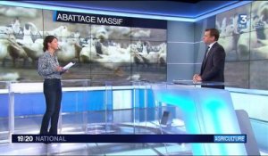 Grippe aviaire : quelles sont les exploitations avicoles concernées ?
