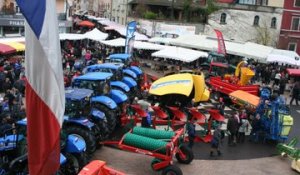 Altkirch: dans l'ambiance de la foire...