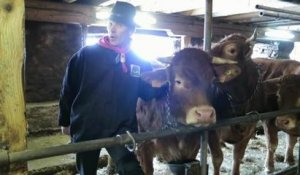 Un agriculteur raconte sa passion pour l'elevage de vache Fin gras du...