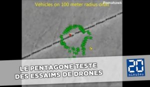 Le Pentagone teste des essaims de drones