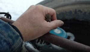 Sauvetage d'un oiseau gelé sur une barrière