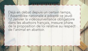 L’Assemblée nationale vote pour la vidéosurveillance obligatoire dans les abattoirs français