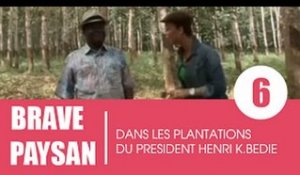 Brave paysan / Le président Bédié nous ouvre les portes de ses plantations (1ere partie)