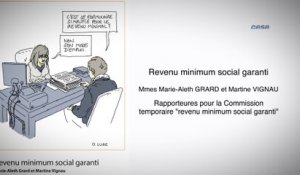 Revenu minimum social garanti - cese
