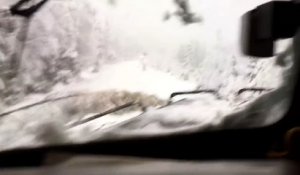 Un train circule après une tempête de neige au Canada.