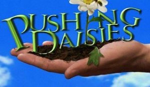 Pushing Daisies - Saison 2 Promo #1