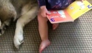 Quand bébé lit un livre au chien pour l'endormir