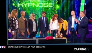 Stars sous hypnose - Messmer : les invités effrayés par un chausson en forme de lapin (vidéo)