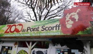 Zoo de Pont Scorff. C'est reparti samedi