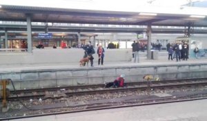 Un chien policier fait tomber une femme sur une voie ferrée
