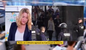 Agression de militaires au Louvre : "la menace n'a jamais été aussi forte", prévient le porte-parole du ministère de l'Intérieur