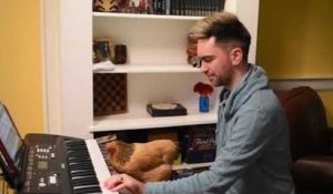 Un homme joue du piano avec sa poule !